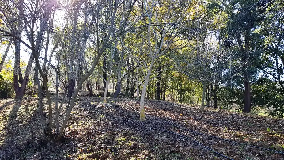 Finca rústica en venta en Galaroza con Calefacción, Jardín privado y Terraza