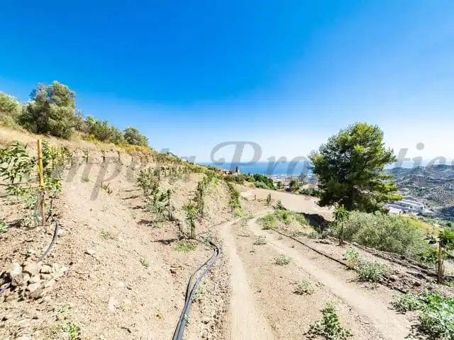 Terreni e lotti in vendita a Torrox Pueblo, imagen 5