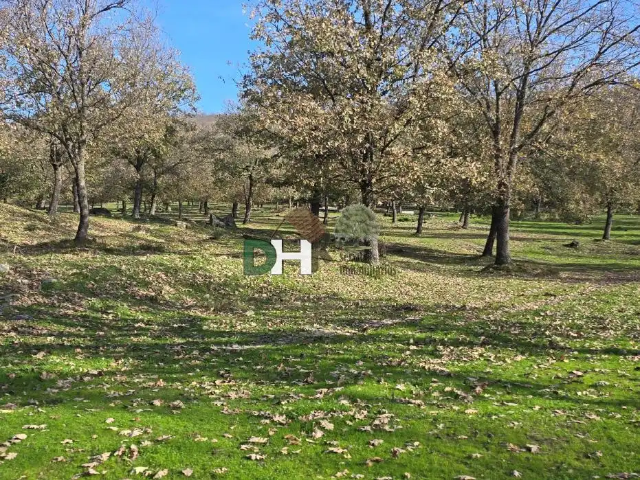 Terreni e lotti in vendita a Ruta de la Plata, imagen 5
