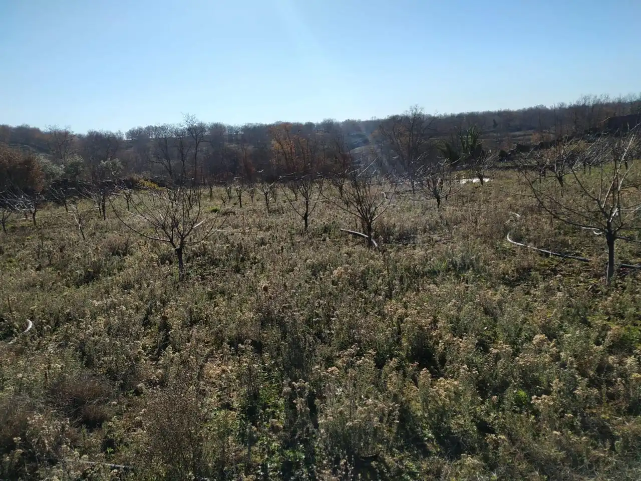 Residential for sale in Gargüera