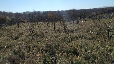 Foto 3 de Residencial en venta en Gargüera, Gargüera, Cáceres