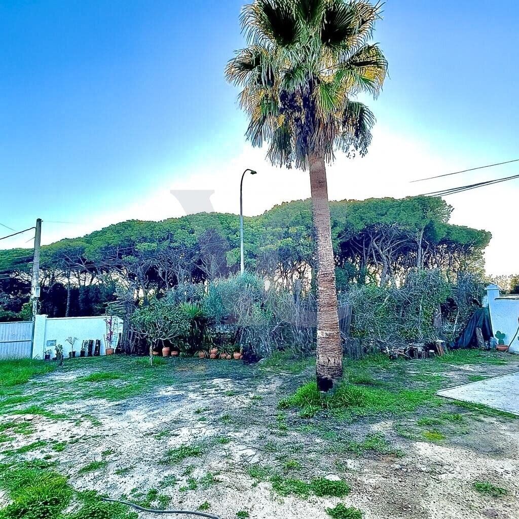 Casa o chalet en venta en Chiclana de la Frontera