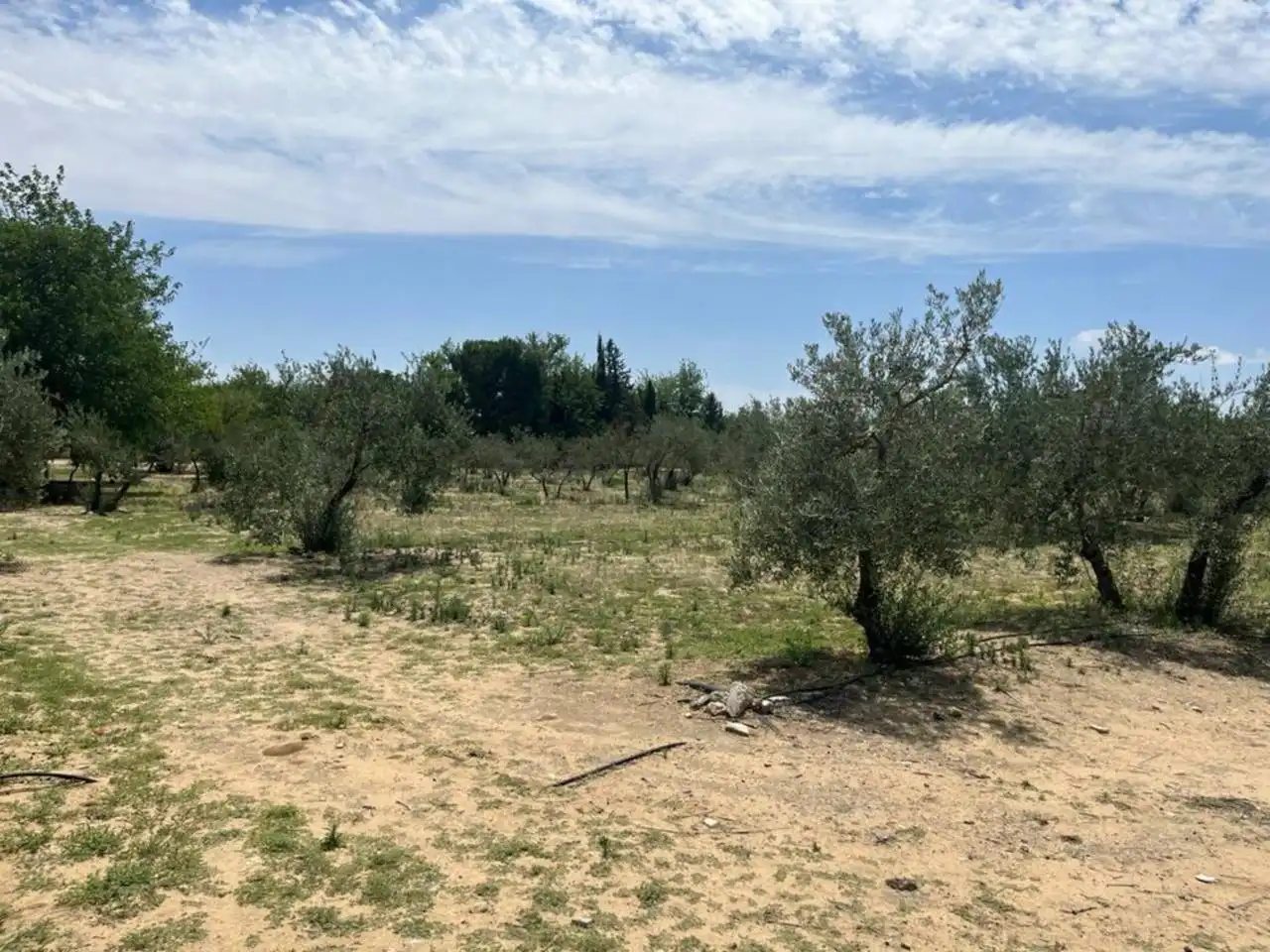 Wohnbaugrundstück zum Verkauf in Morón de la Frontera, imagen 5