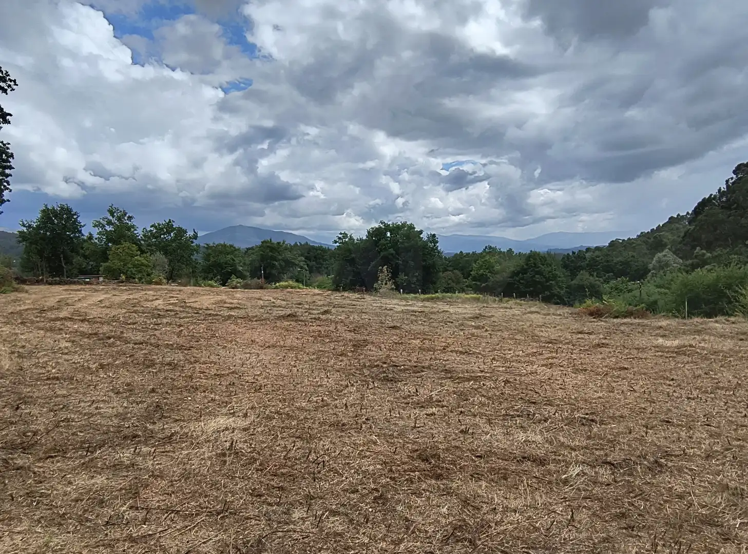 Terrenos y solares en venta en Mondariz, imagen 14