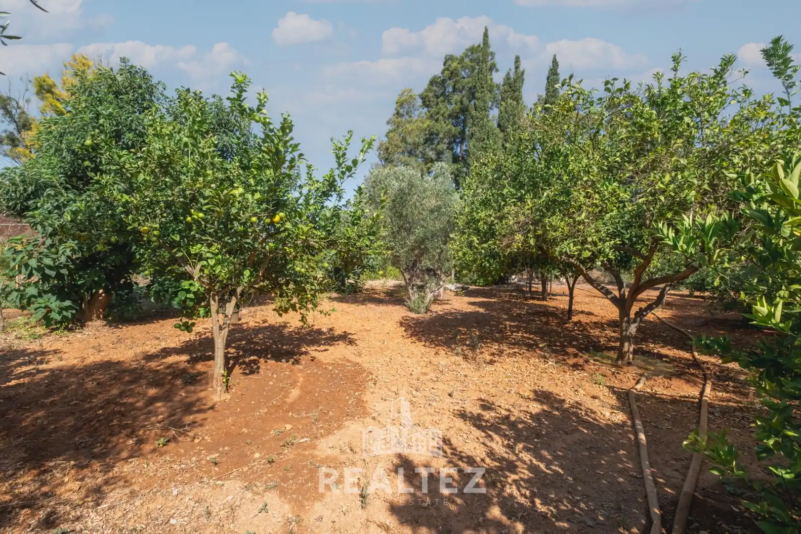 Terreni e lotti in vendita a El Retiro - Parque Atlántico - Ronda este, imagen 31