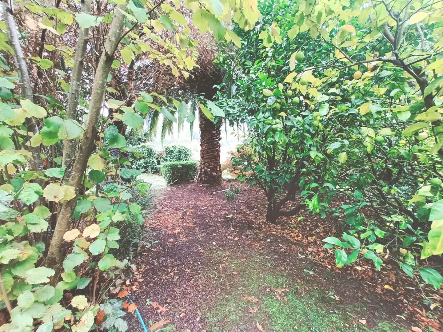 Garten von Haus oder Chalet zum Verkauf in Narón mit Heizung, Privatgarten und Ofen