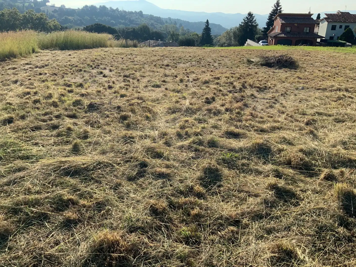 Grundstücke und Bauplätze zum Verkauf in Campins, imagen 6
