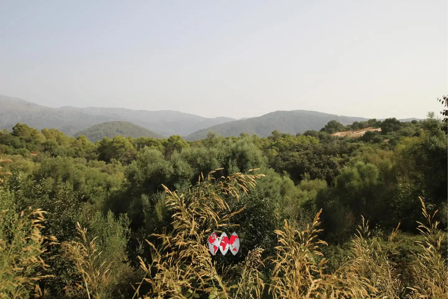 Terrenys i solars en venda a Camí d'Ullaró, imagen 12