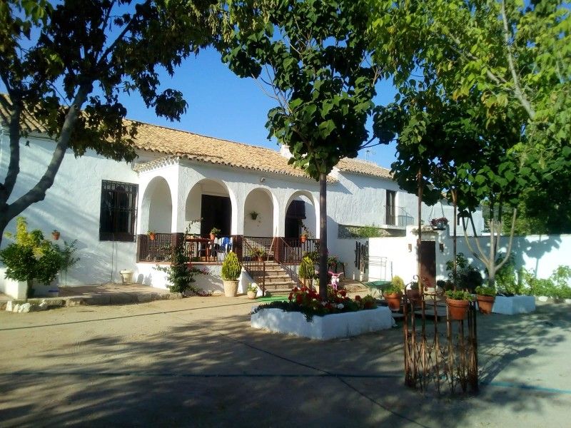 Außenansicht von Country house zum verkauf in Lucena mit Terrasse