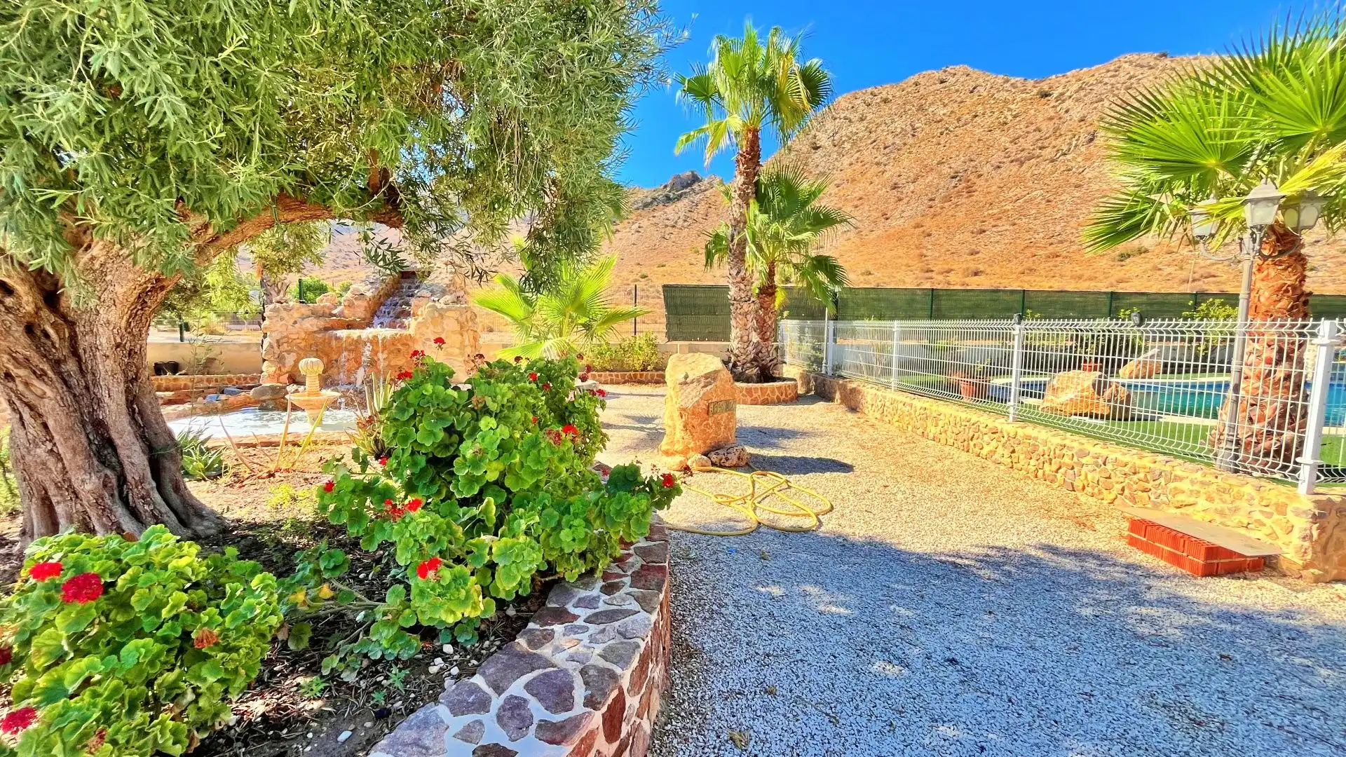 Vista exterior de Casa o chalet en venta en Cox con Terraza y Piscina
