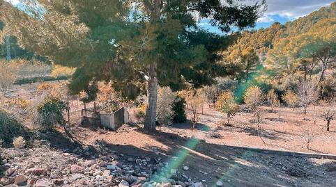 Foto 5 de Residencial en venda a Calle Camino Viejo Portacoeli, Monteamor - La Carrasca - El Peucal, Náquera