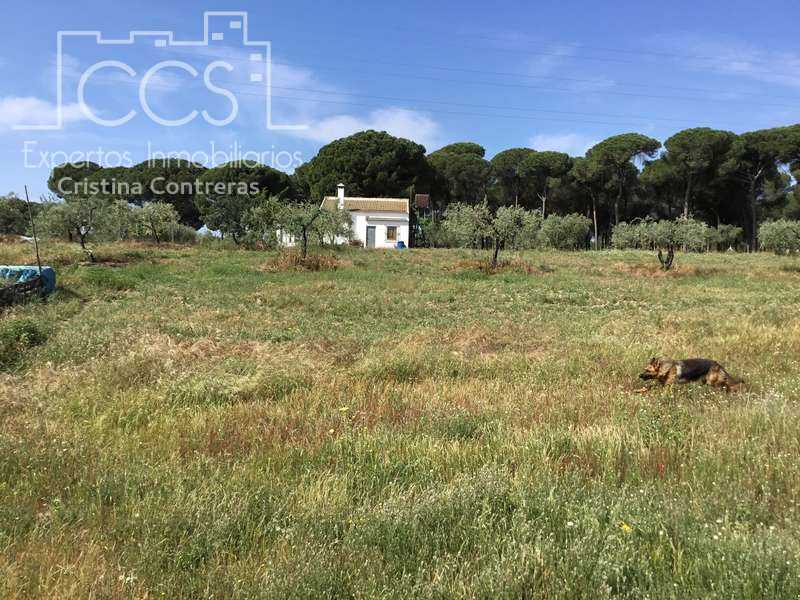 Finca rústica en venda en Almonte amb Terrassa i Moblat