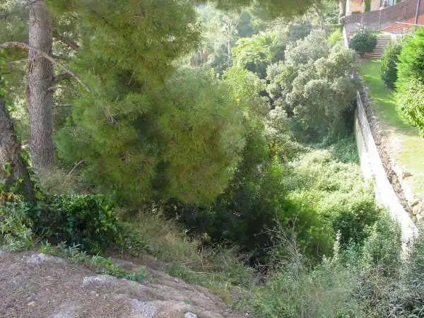 Rural land for sale in C/ Roncadora, imagen 6