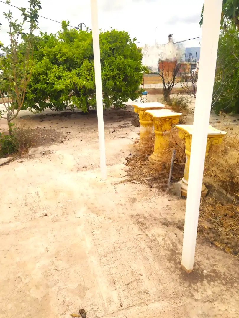 Jardí de Casa o xalet en venda en Murcia amb Jardí privat