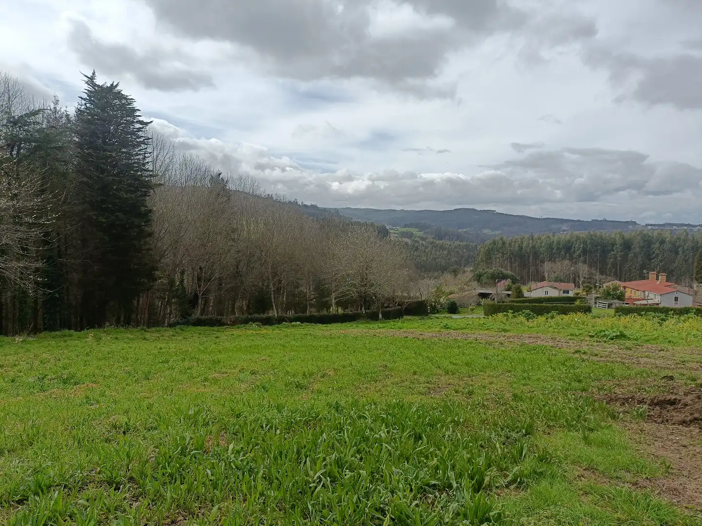 Terreni e lotti in vendita a Lugar Castelo, imagen 8