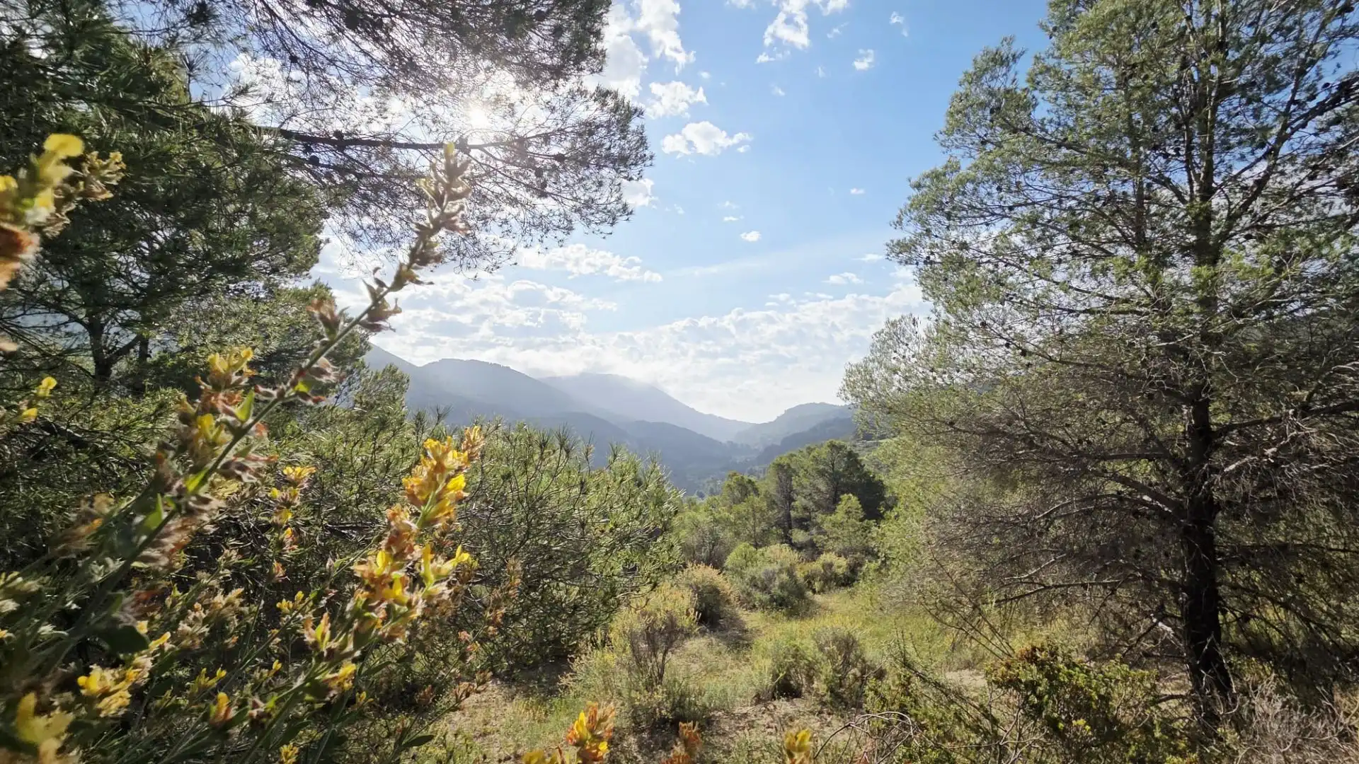 Grundstücke und Bauplätze zum Verkauf in El Castell de Guadalest, imagen 11