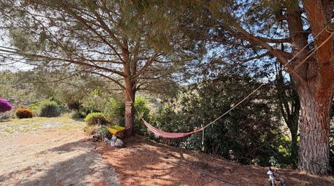 Foto 3 de Finca rústica en venda a Almogía, Málaga