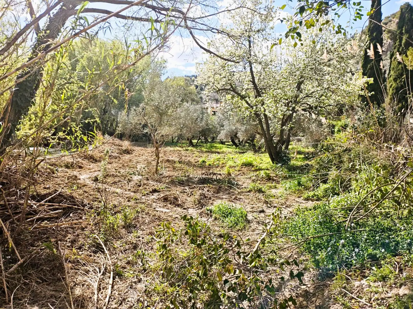 Grundstücke zum Verkauf in Jaén
