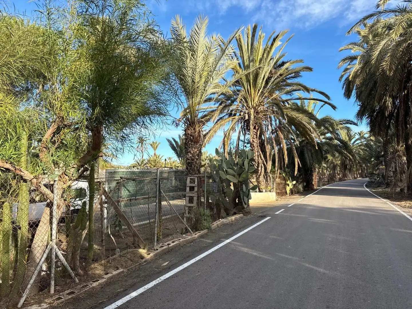 Vista exterior de Finca rústica en venda en Elche / Elx