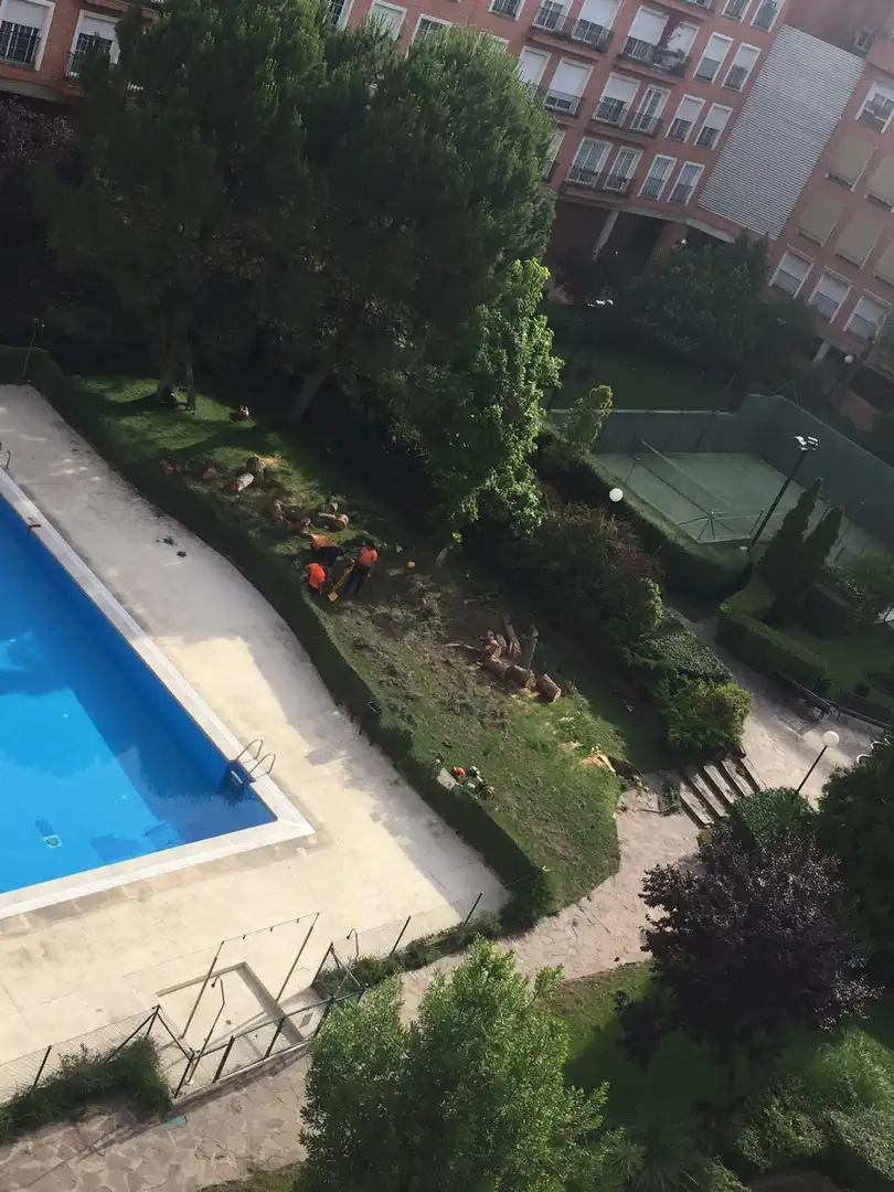 Jardín de Ático en venta en Madrid con Terraza, Trastero y Piscina