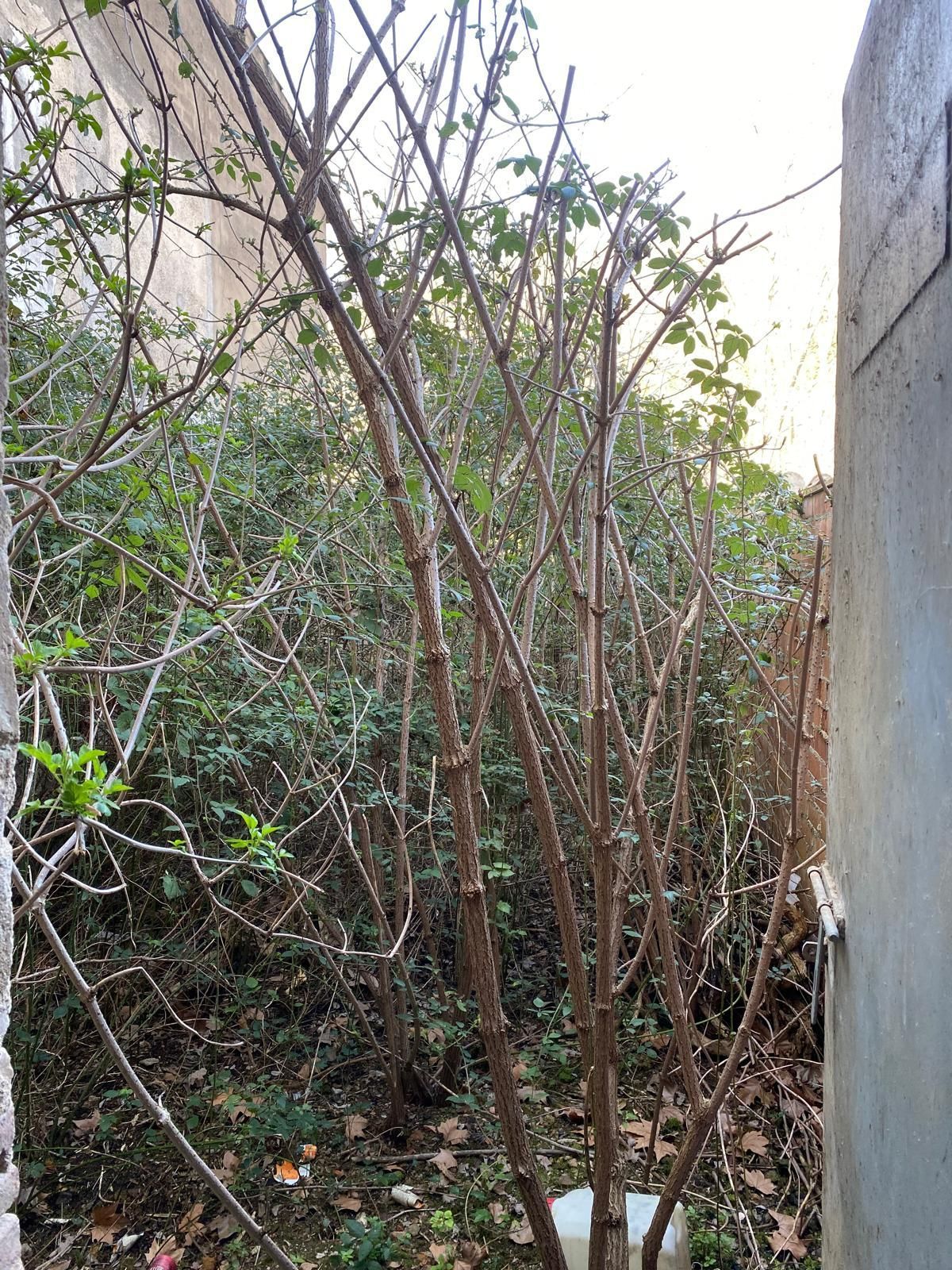 Single-family semi-detached for sale in Osor