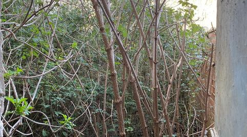 Foto 3 de Casa adosada en venta en Osor, Girona