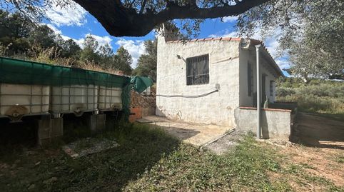 Foto 3 de Finca rústica en venta en Partida Berro, Altura, Castellón