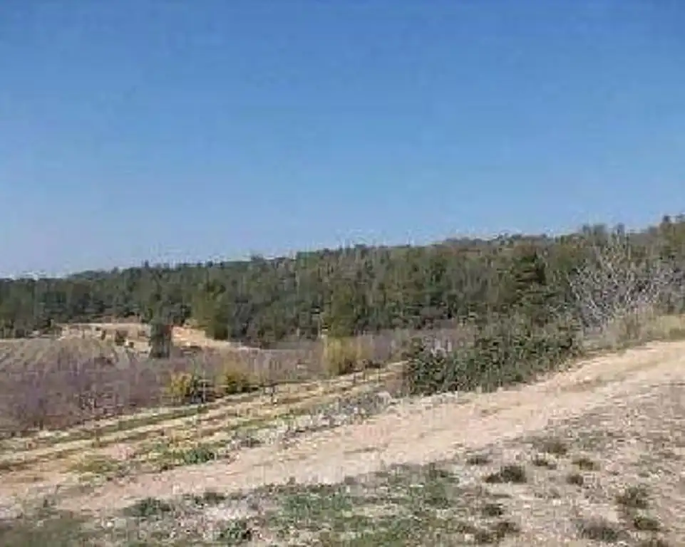 Terreny rústic en venda a Tivissa