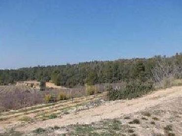 Terreny rústic en venda a Tivissa