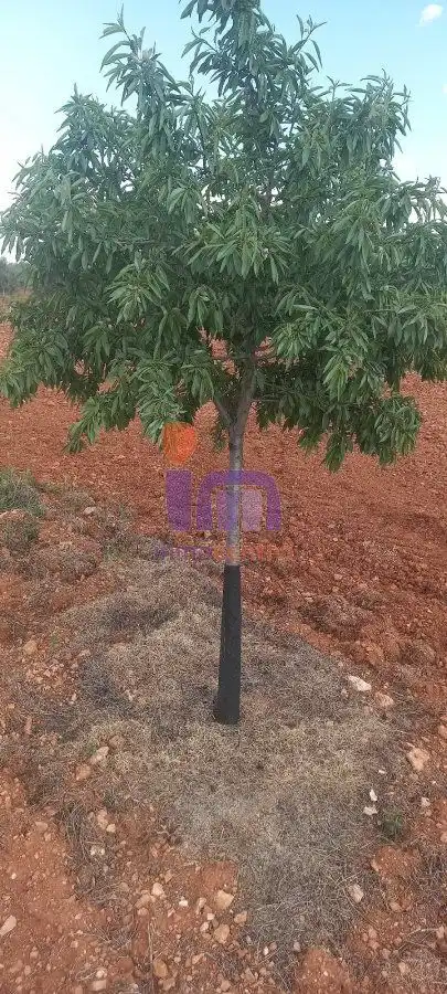 Finca rústica en venda en Valdepeñas
