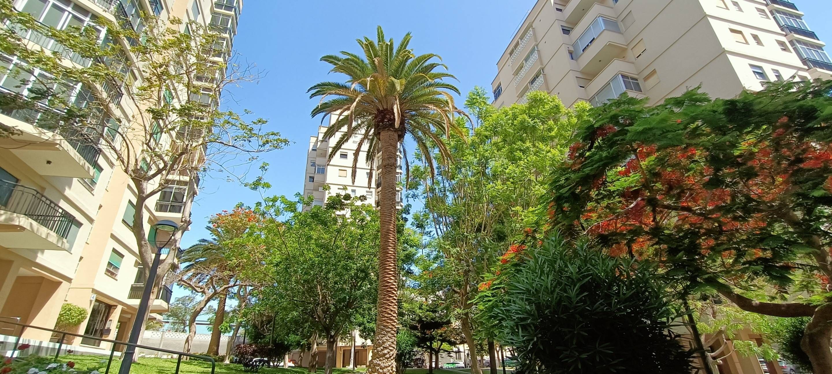 Vista exterior de Apartament en venda en  Santa Cruz de Tenerife Capital amb Balcó