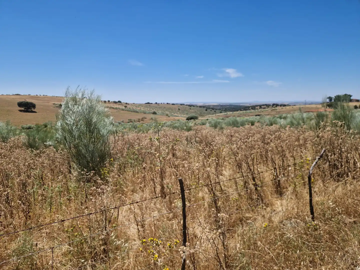 Terreni e lotti in vendita a Oliva de Mérida