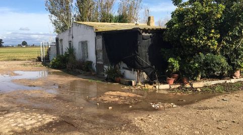 Photo 3 of Industrial buildings for sale in Eucaliptus - Poble Nou del Delta, Amposta