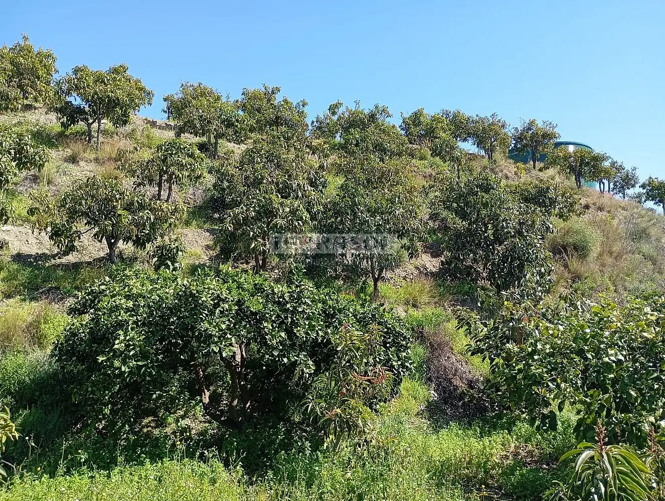 Grundstücke und Bauplätze zum Verkauf in Vélez-Málaga ciudad, imagen 46