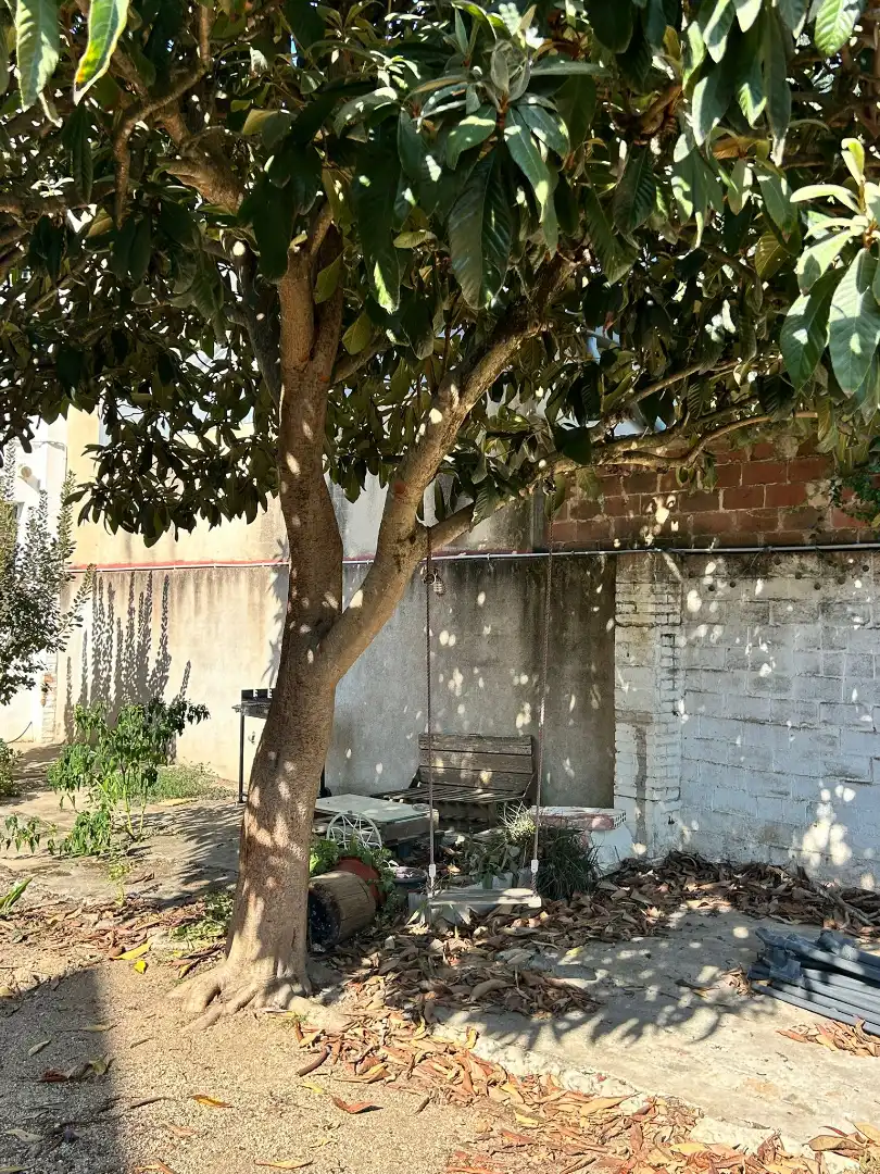 Exterior view of Houses for rent in Bordils  with Heating, Private garden and Terrace