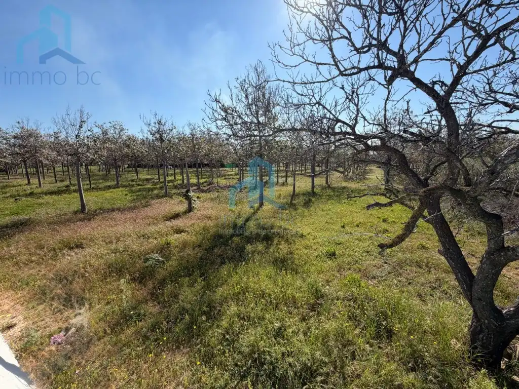 Casa o chalet en venta en Constantí