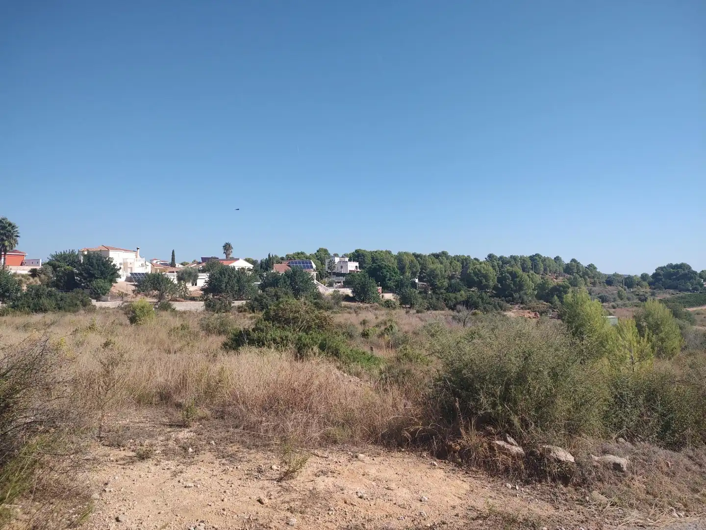 Terreno rústico en venta en Carrera Villa de Montroy, imagen 9