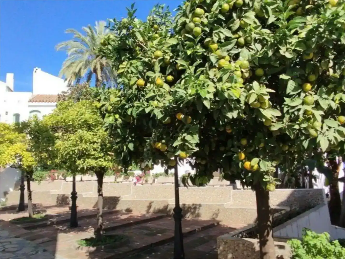Vista exterior de Casa adosada en venda en Marbella amb Aire condicionat i Piscina