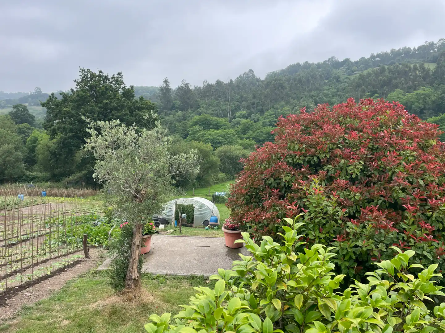 Jardí de Casa o xalet en venda en Gijón  amb Calefacció, Jardí privat i Parquet