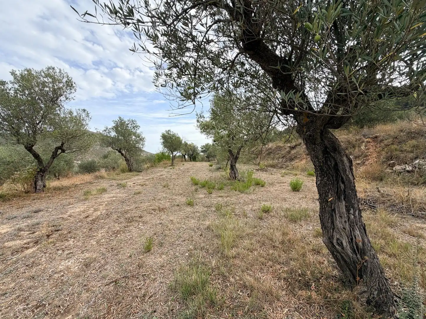 Residencial en venta en Fageca, Alicante