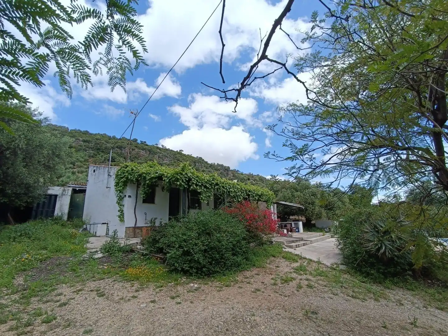 Exterior view of Residential for sale in Prado del Rey