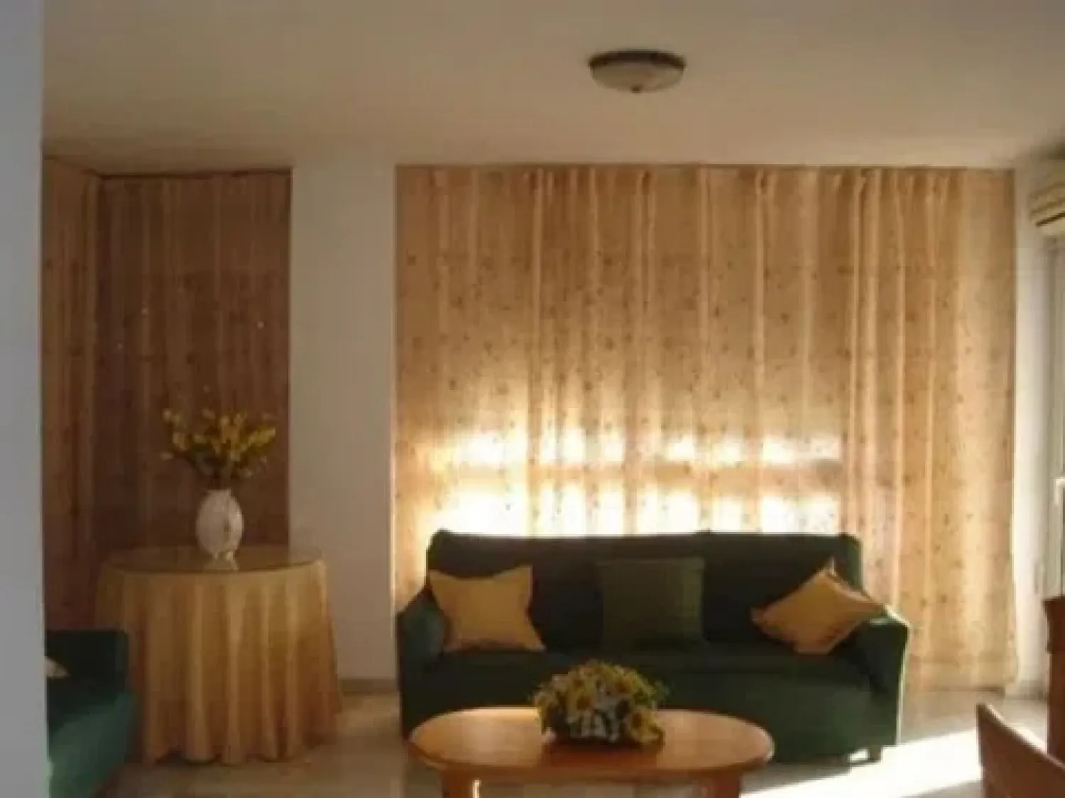 Sala de estar de Piso de alquiler en Málaga Capital con Terraza, Amueblado y Lavadora