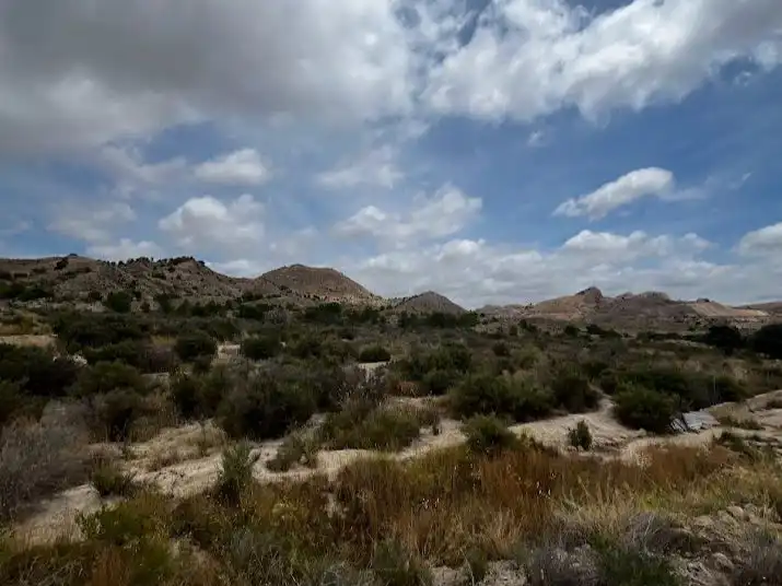 Rustikales Grundstück zum Verkauf in camino cascabel 11, imagen 2