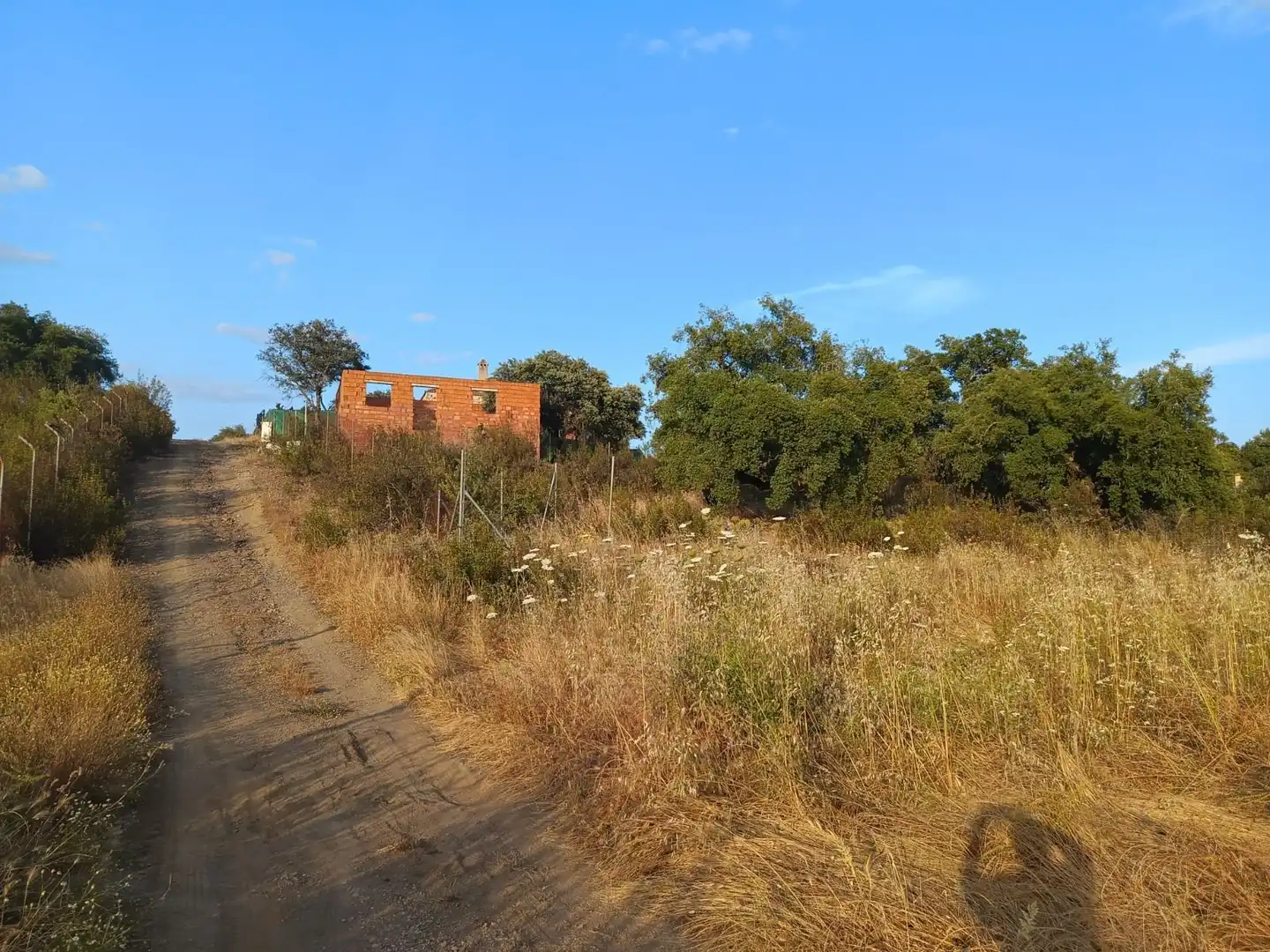 Terreni e lotti in vendita a Castilblanco de los Arroyos, imagen 18