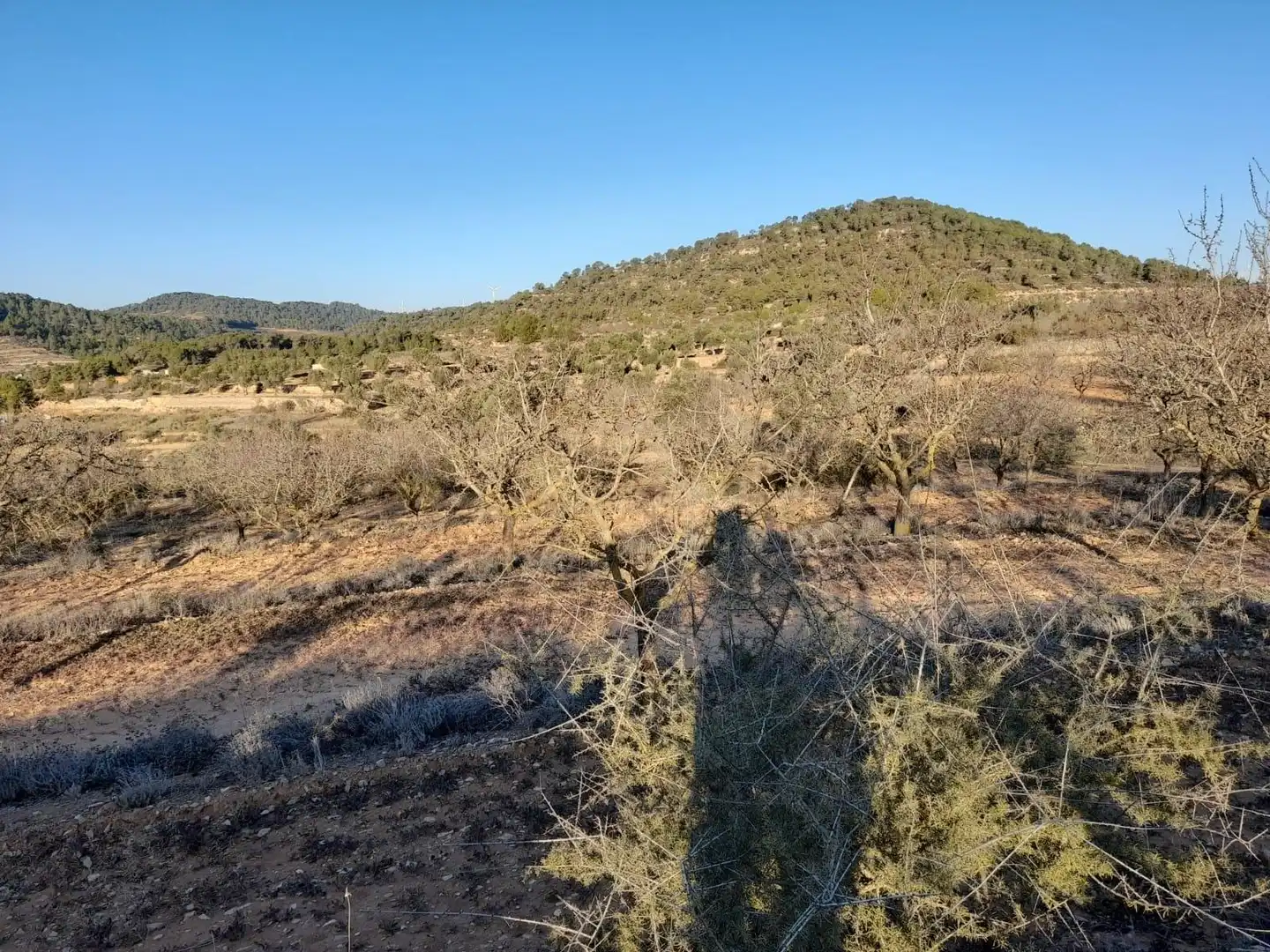 Terreno rústico en venta en Corbera d'Ebre, imagen 9