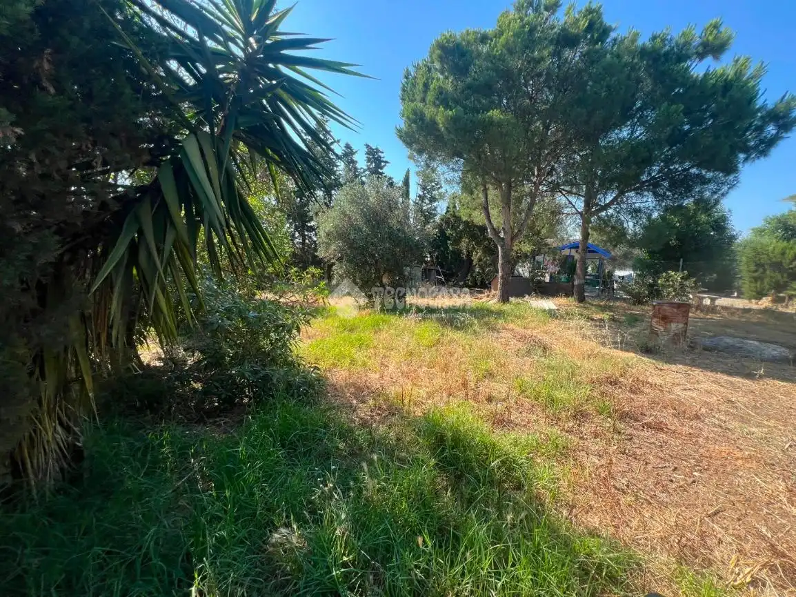 Rural land for sale in Roche, imagen 3