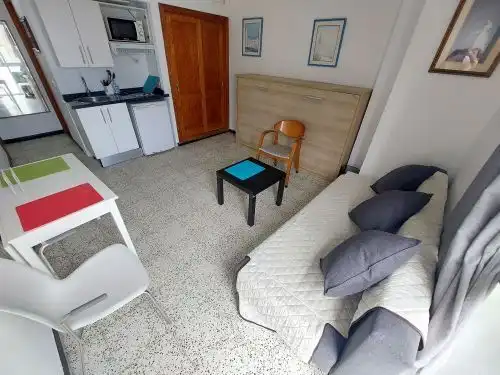 Sala de estar de Estudio de alquiler en Las Palmas de Gran Canaria con Amueblado, Lavadora y Microondas