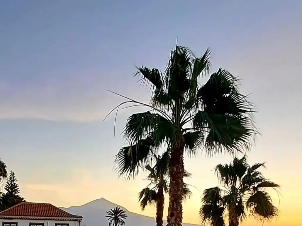 Exterior view of Houses for share in El Sauzal, Santa Cruz de Tenerife