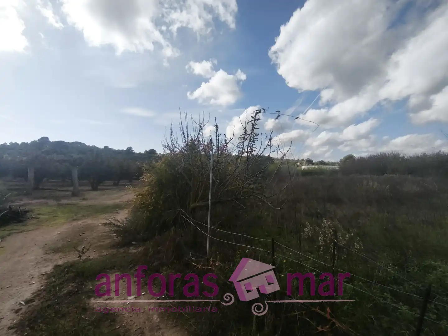 Terreno rústico en venta en La Riera de Gaià, imagen 10
