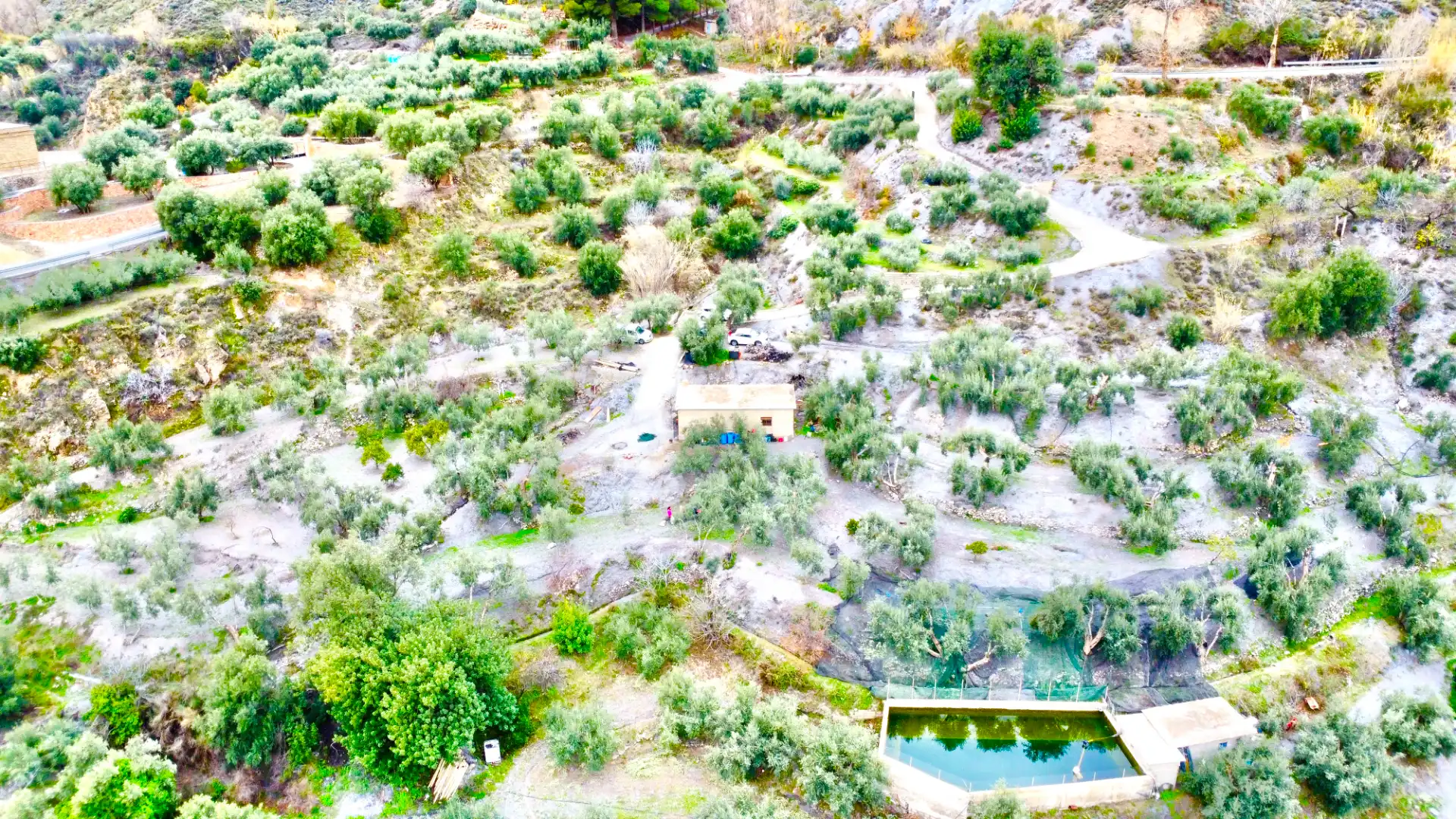Terreni e lotti in vendita a Lugar Cortijo El Peñon, imagen 37